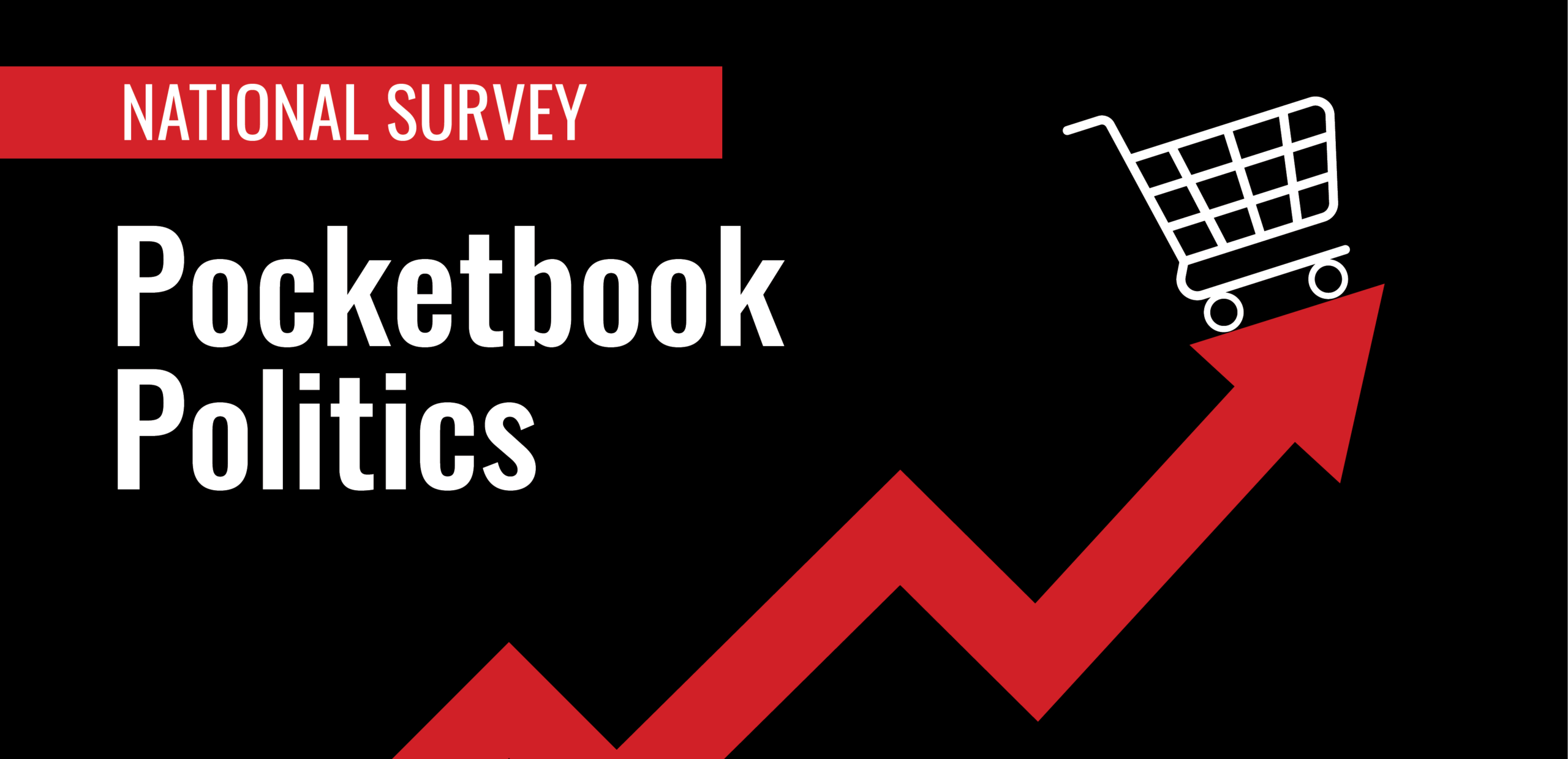 Pocketbook Politics National Survey